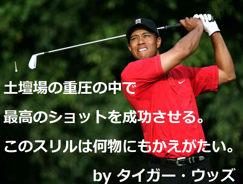 Tiger Woods タイガーウッズ｜ゴルフ名言集